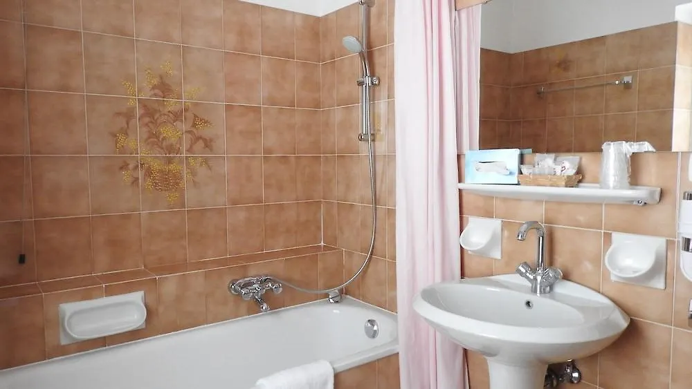 Hotel Des Alpes Cortina d'Ampezzo 3*,  Italy